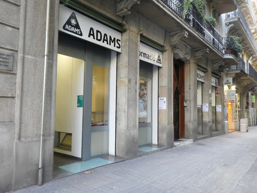 Acadèmia d’Oposicions Barcelona, ​​Cursos i Llibres ADAMS Formació
