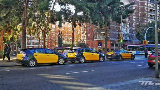 Taxi Barcelona TDB