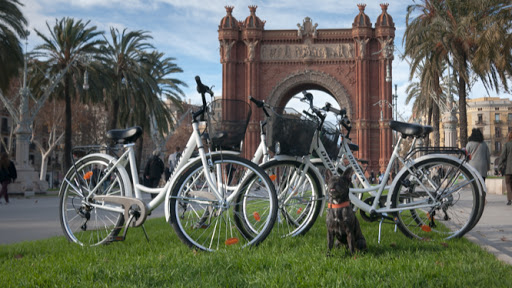 Mr. Bike Barcelona