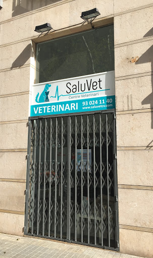 SaluVet Centro Veterinario
