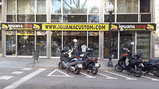 Iguana Custom - Barcelona
