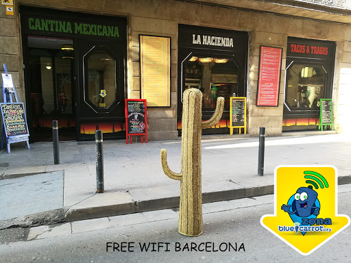 Free Wifi Barcelona BlueCarrot