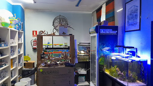 ictiomon aquaris