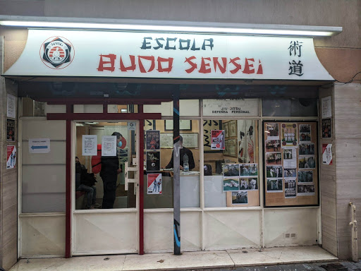 Budo Sensei: Escola de Jiujitsu, Taekwondo