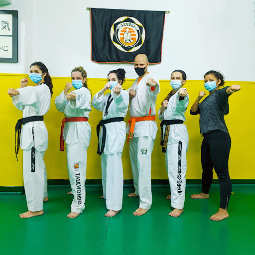 Budo Sensei: Escola de Jiujitsu, Taekwondo