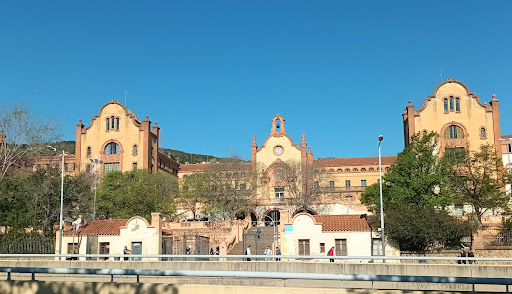 Instituto Vall d'Hebrón