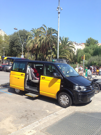 Bigtaxibcn - Minivans -Adaptadas, con silla de bebé y maxicosi