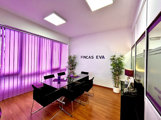 Fincas Eva - Agencia inmobiliaria en Barcelona