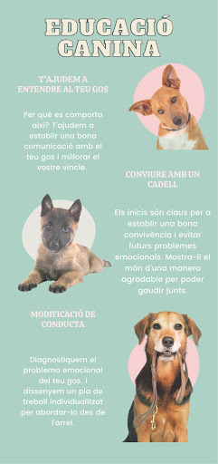 Sapiens Dog - Educación Canina / Adiestramiento Canino / Educación Cachorros