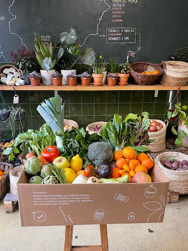 Fruta y Verdura Ecológica y de Proximidad. Supermercado Ecológico y de Proximidad. FROOTY. Tienda de Plantas en Barcelona.