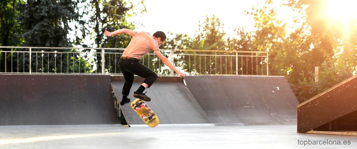 ¿Cómo se escribe skatepark?