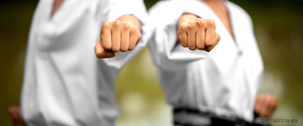 Las 11 mejores escuelas de Aikido en Barcelona