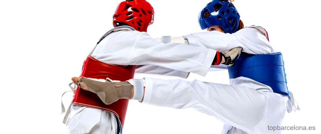 Las 19 mejores academias de Karate en Barcelona