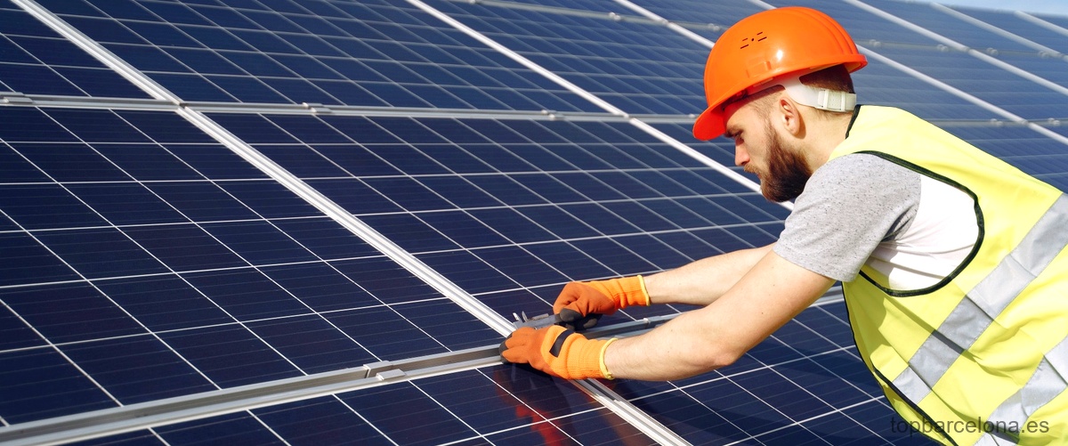 ¿Cuál es el profesional encargado de realizar la instalación de paneles solares?