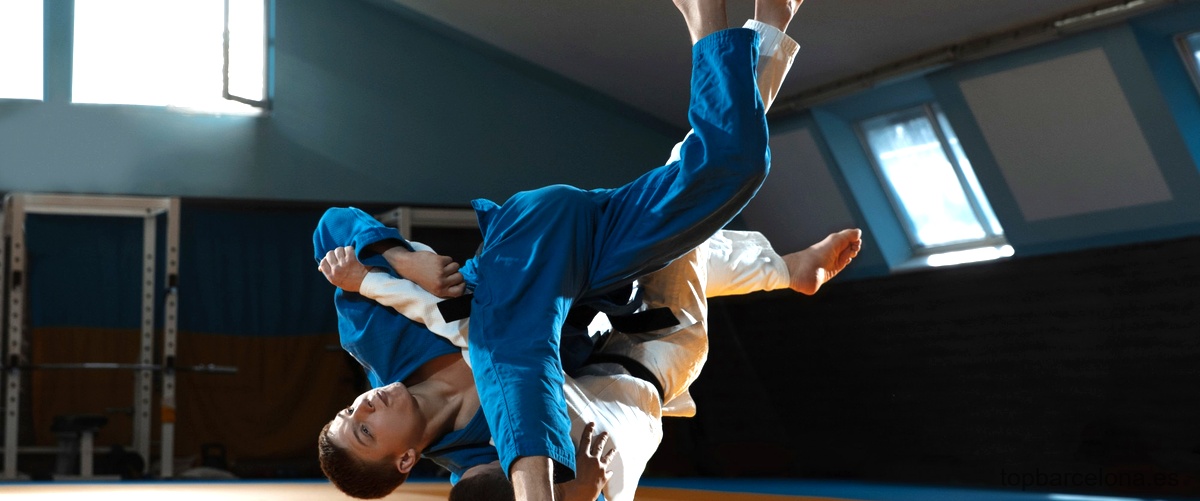 ¿Cuál es el significado de la palabra Jiu Jitsu?