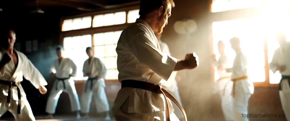¿Cuánto tiempo se necesita para aprender taekwondo en Barcelona como adulto?