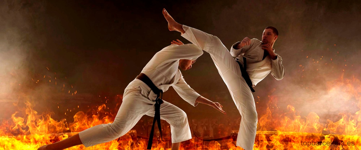 ¿Cuántos tipos de karate existen?