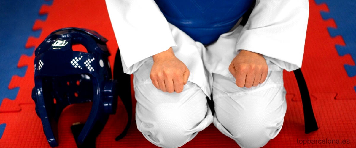 ¿Qué se hace en el judo?